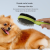 Soododo XDL-91519 Dog double-sided comb Air bag massage needle comb cat grooming pig hair comb removal brush pet supplies wholesale