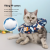 Soododo XDL-XQ003 Cat Elizabeth collar for dog Neck collar for baby cat anti-bite shame collar for pet accessories
