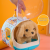 Soododo Glory produced XDRJ001 simulation children education pet dog simulation pet doctor imitation