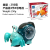 Soododo XDCL9024 electric universal shaking head snail toy 3D light projection music toy