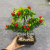 New Artificial Flower Fruit Tree Miniascape Restaurant Home Table Bonsai Decor