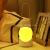 Portable Small Night Lamp Rechargeable Table Lamp Timer Switch Lamp Bedroom Bedside Lamp Warm Light Creative Music Box Lamp