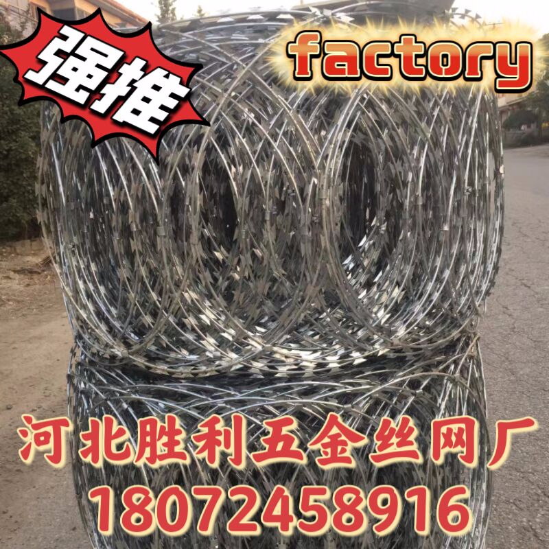 热镀锌/不锈钢 刀片刺绳 双螺旋刀片刺网 刺丝滚笼围栏边境隔离网_河北胜利五金丝网(草坪)厂_义乌购